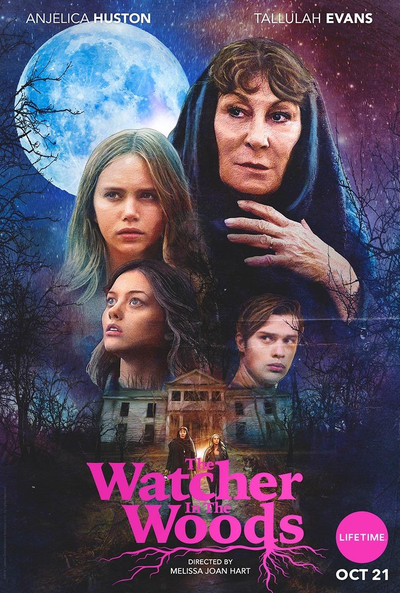The Watcher in the Woods [2017] 