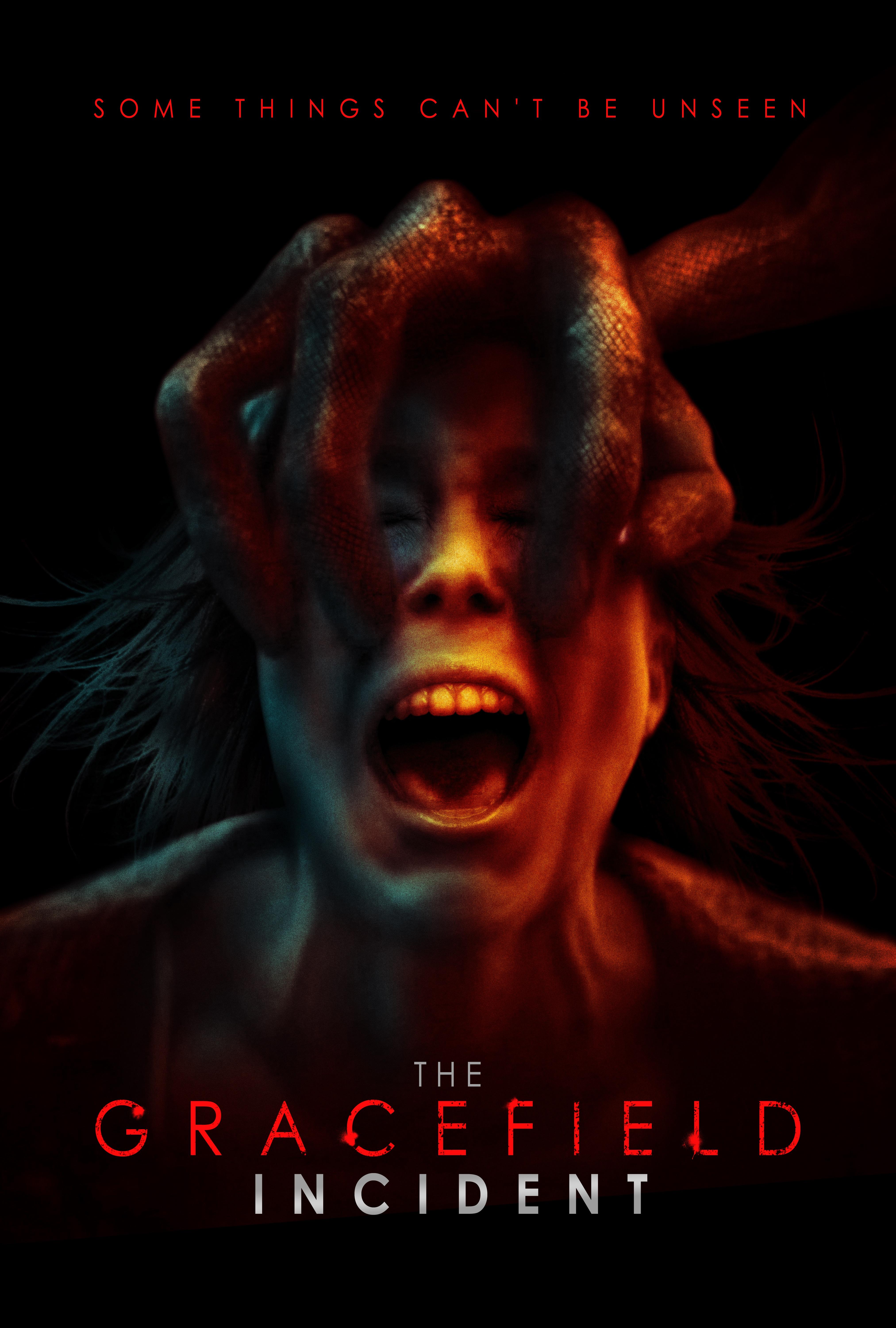 The Gracefield Incident [2017] 