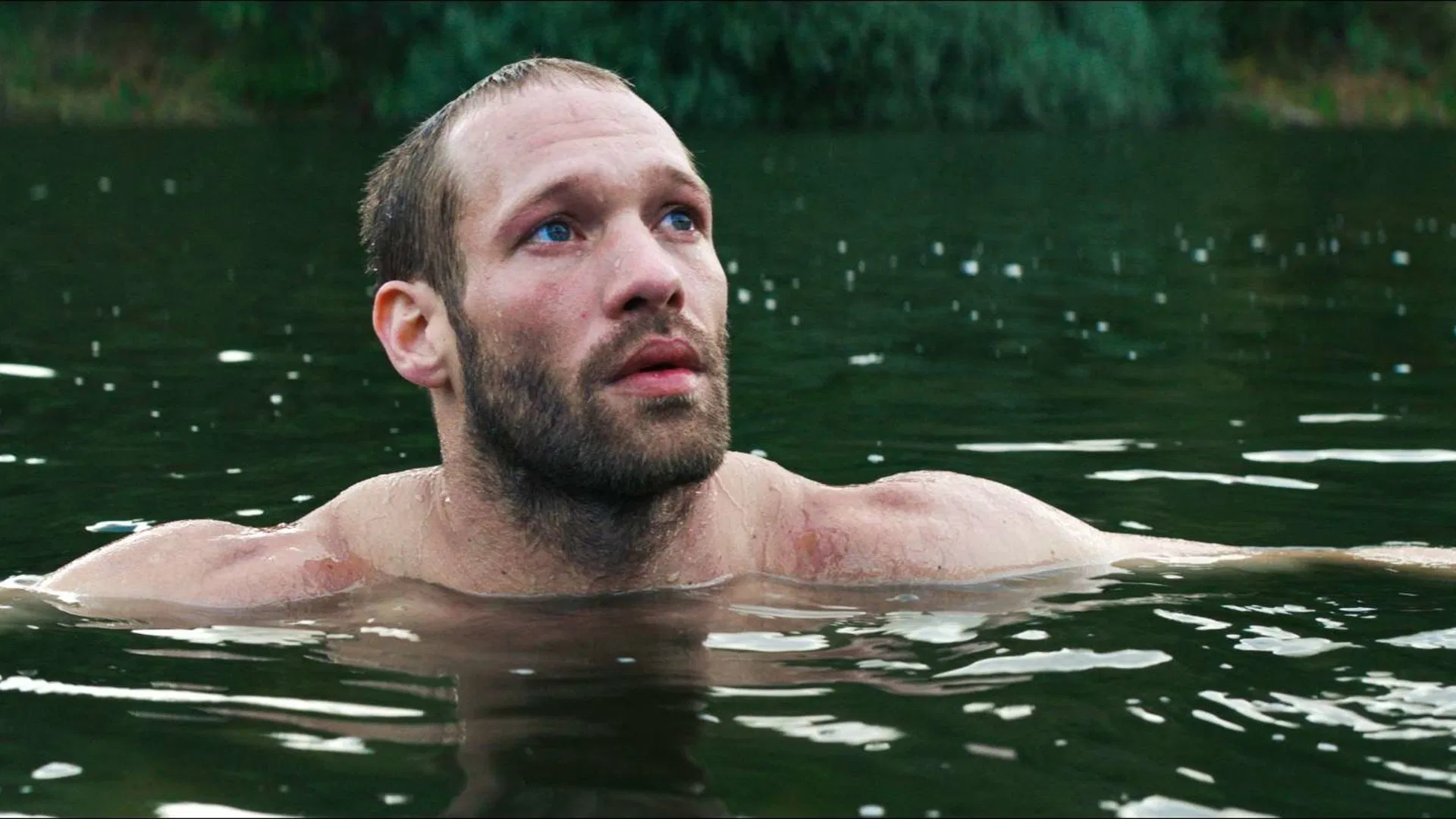 The Ornithologist [2016]