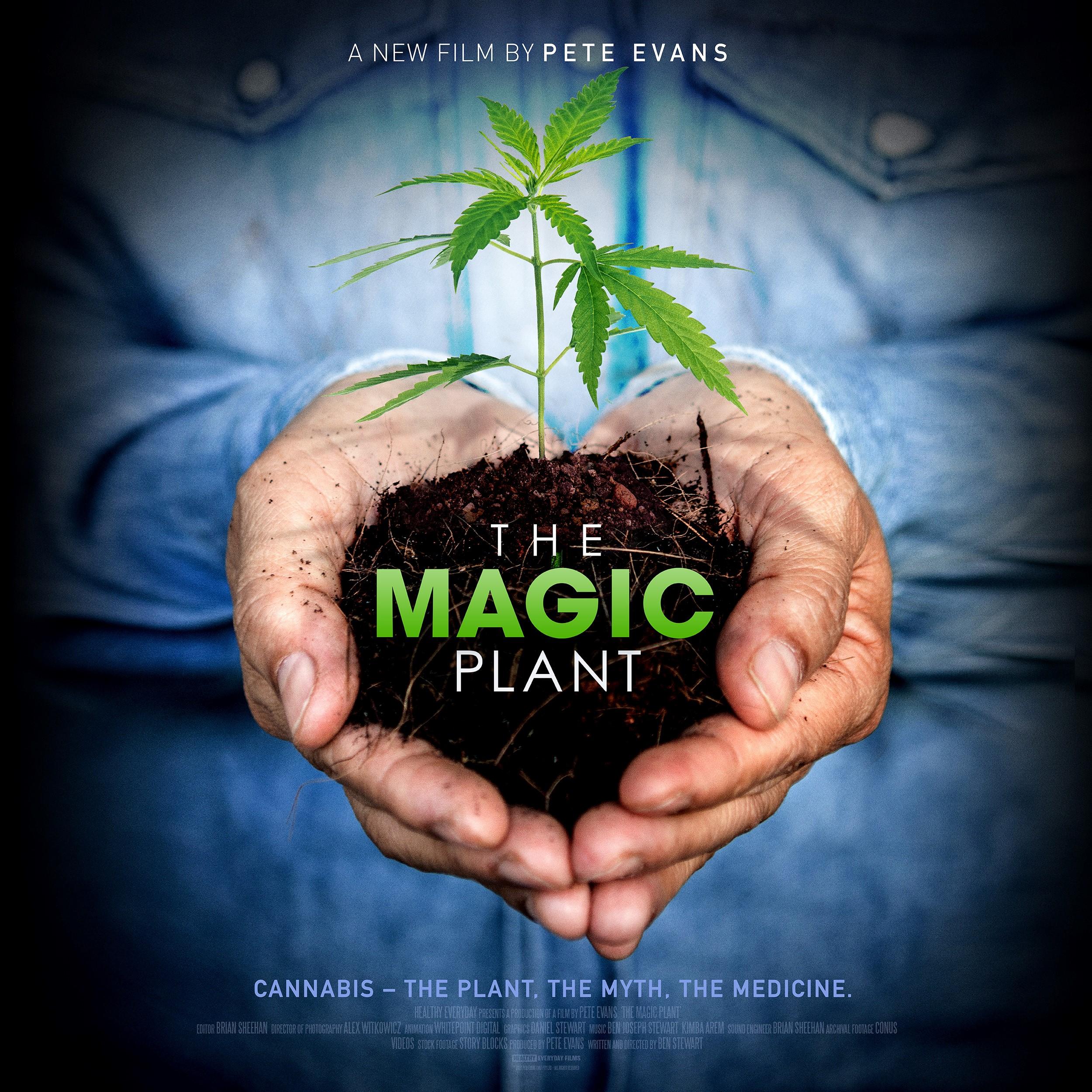 The Magic Plant [2020] 
