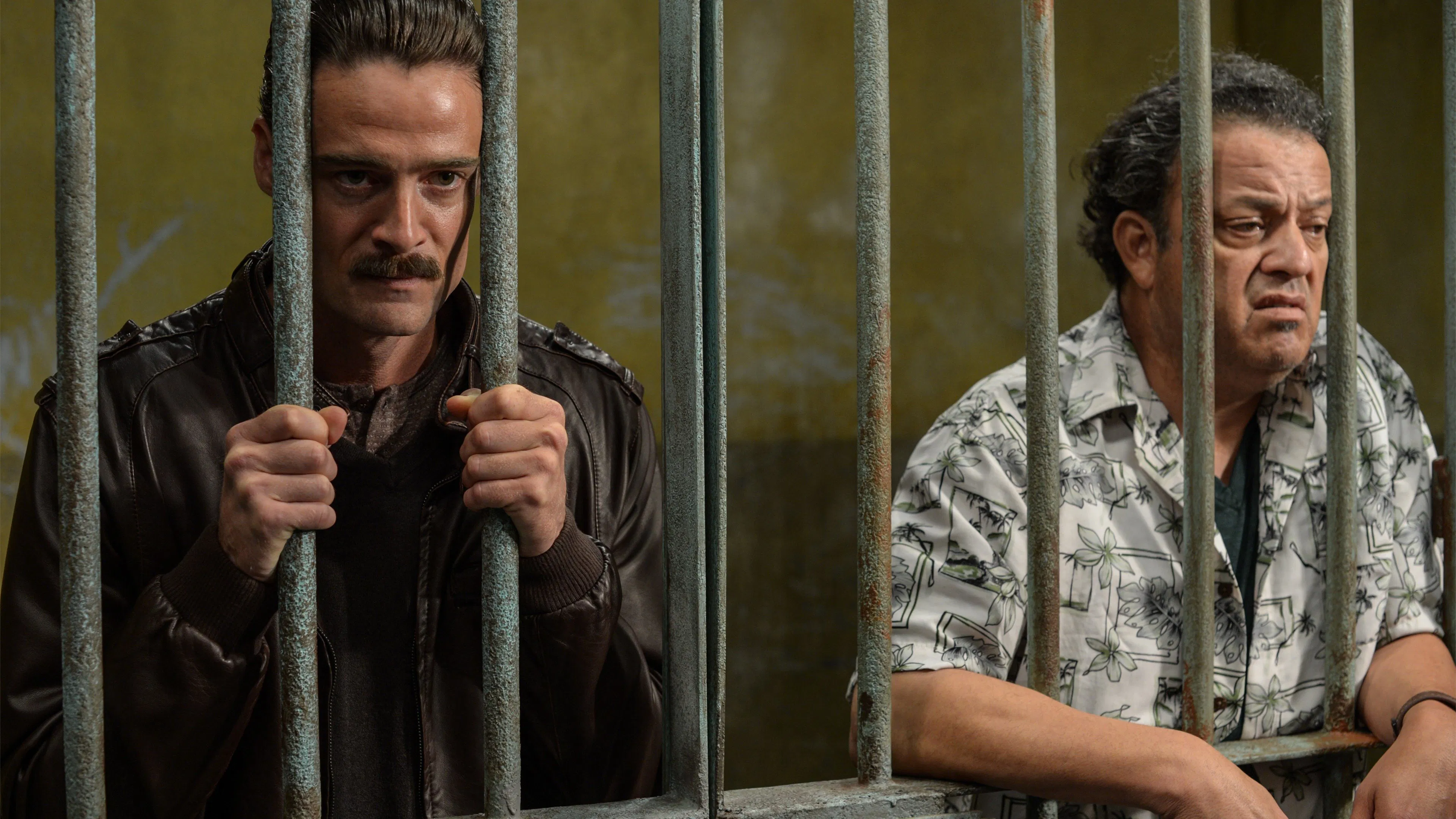 Ruta Madre [2019]