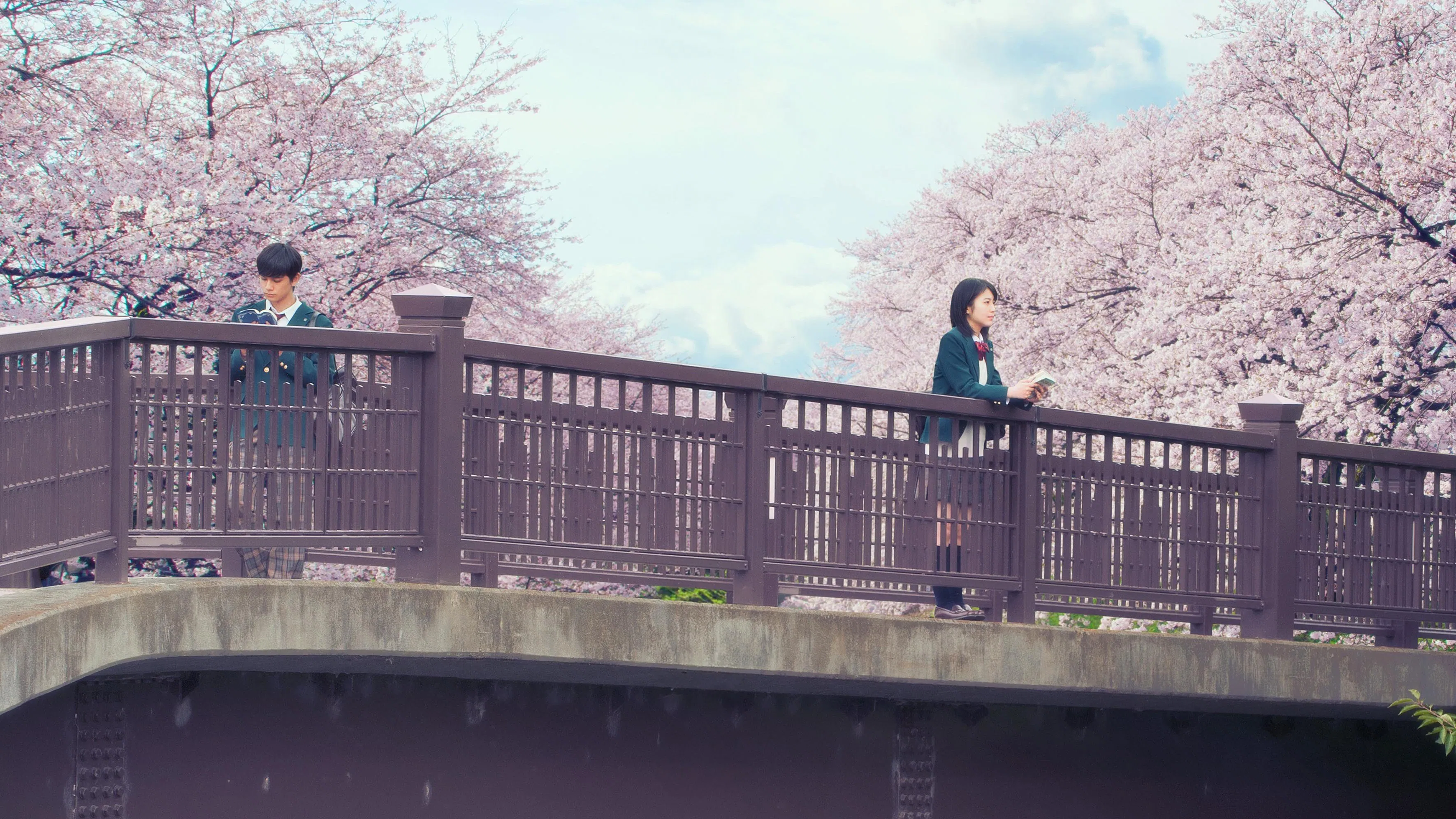 Let Me Eat Your Pancreas [2017]