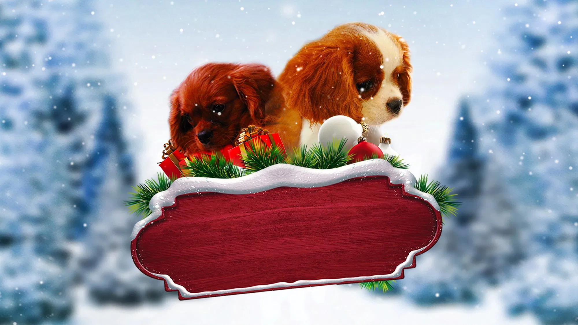 Project: Puppies for Christmas [2019]
