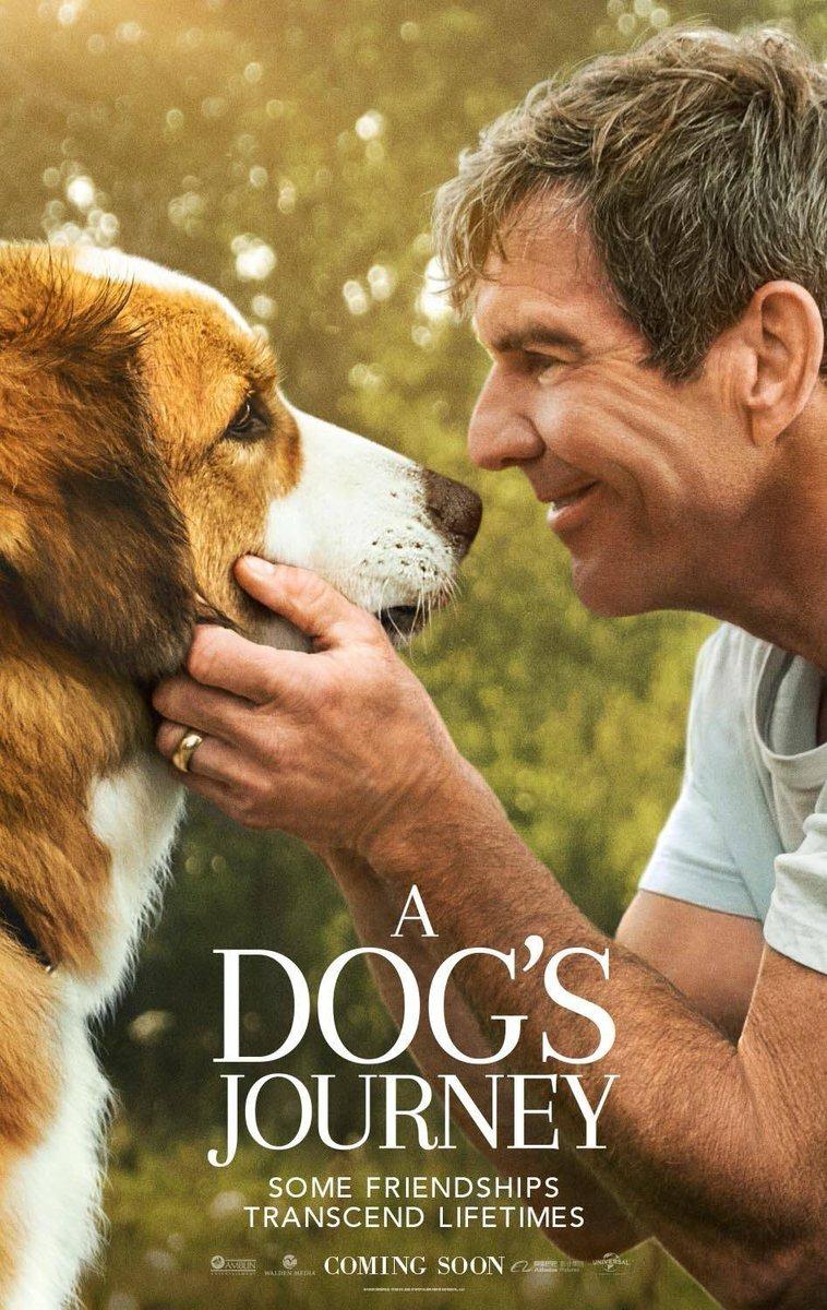 A Dog's Journey [2019] 