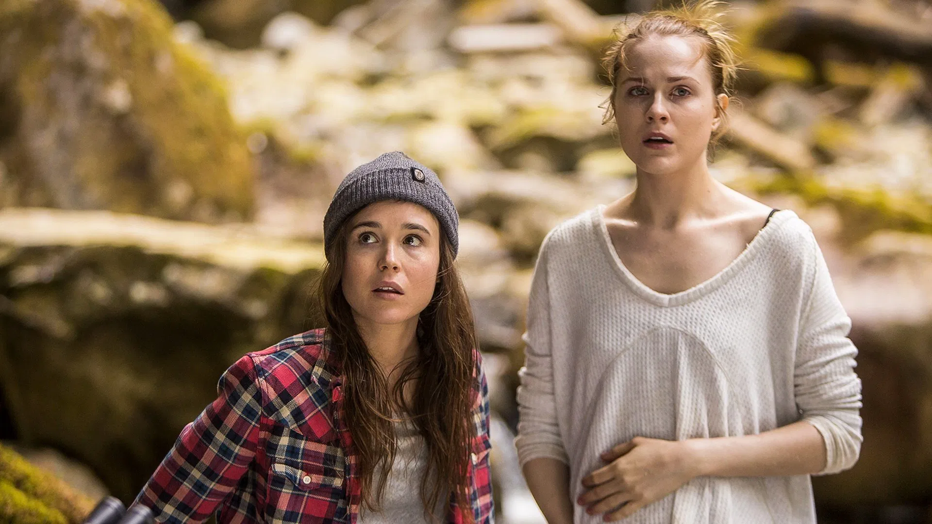 Into the Forest [2016]