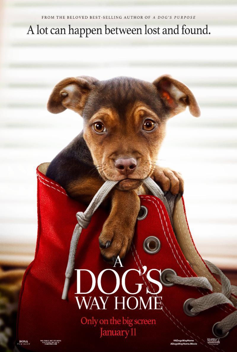 A Dog's Way Home [2019] 