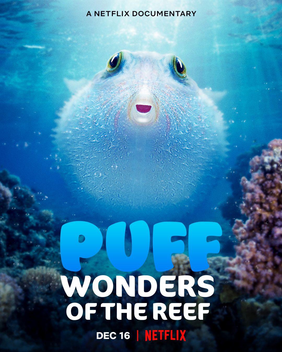 Puff: Wonders of the Reef [2021] 