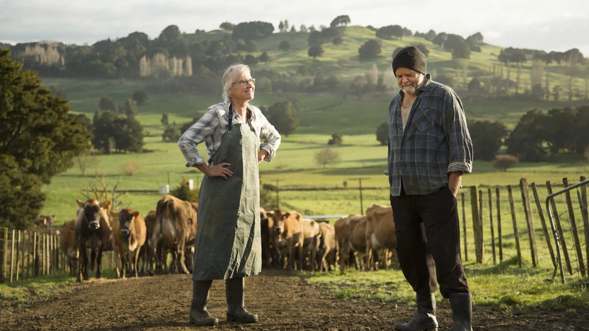 Bellbird [2019]