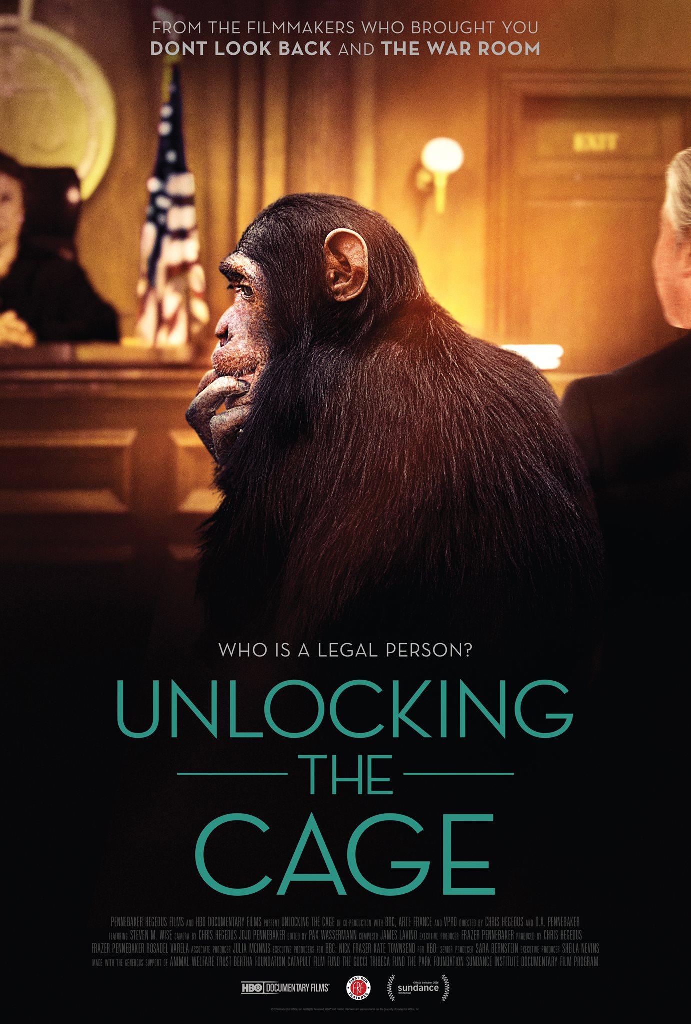 Unlocking the Cage [2016] 