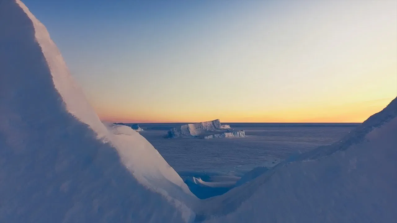 Antarctica [2020]