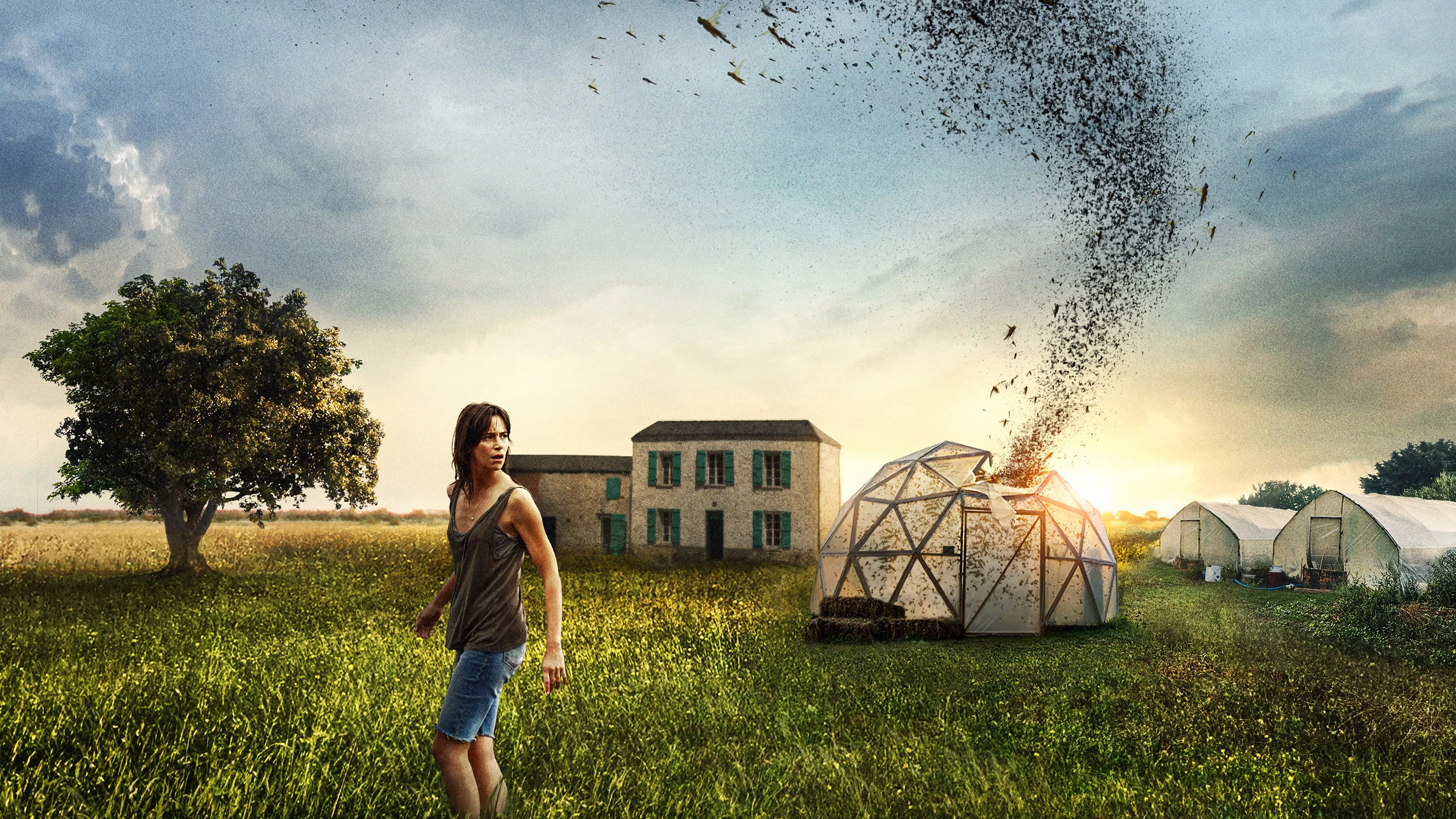 The Swarm [2021]