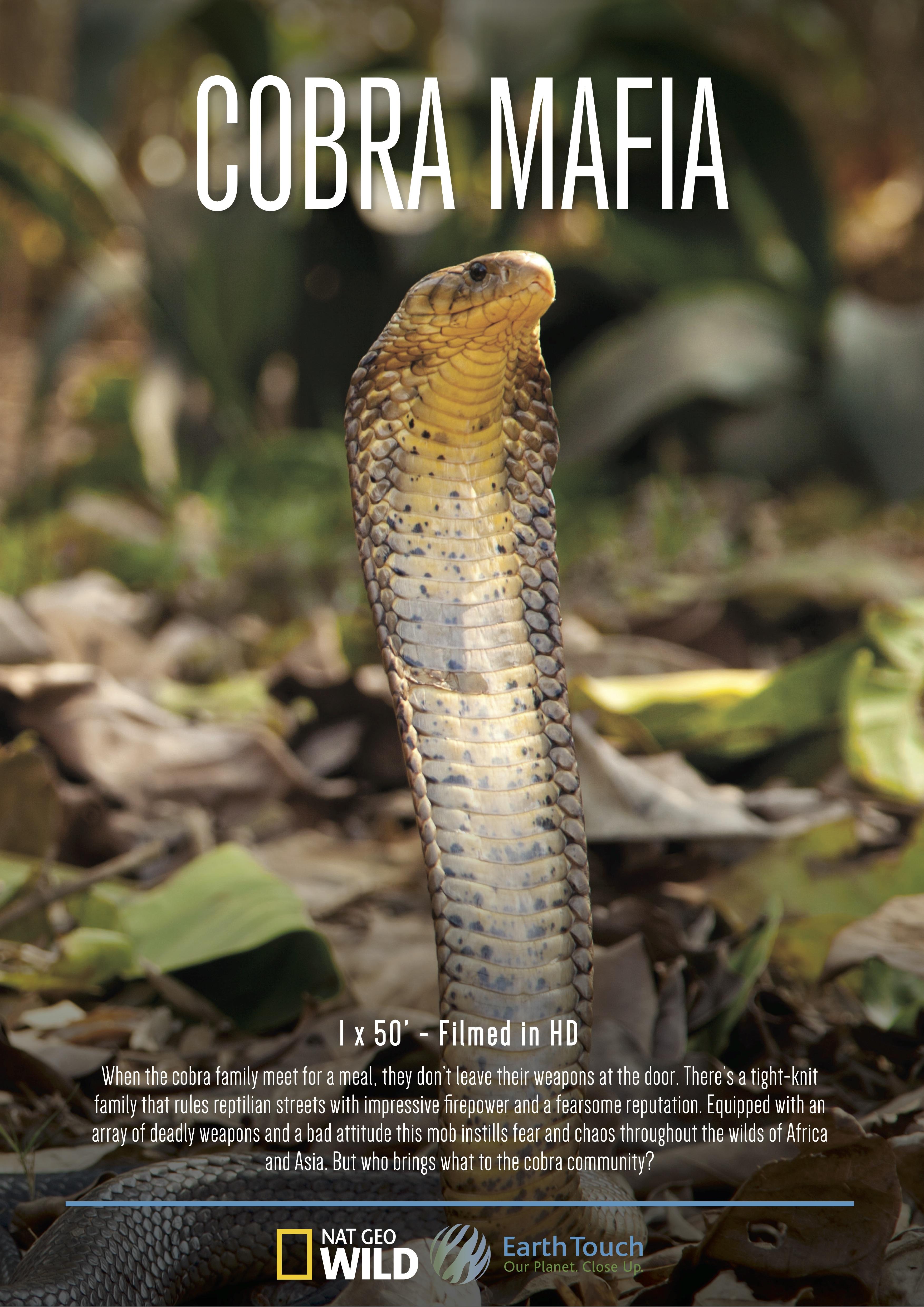 Cobra Mafia [2015] 