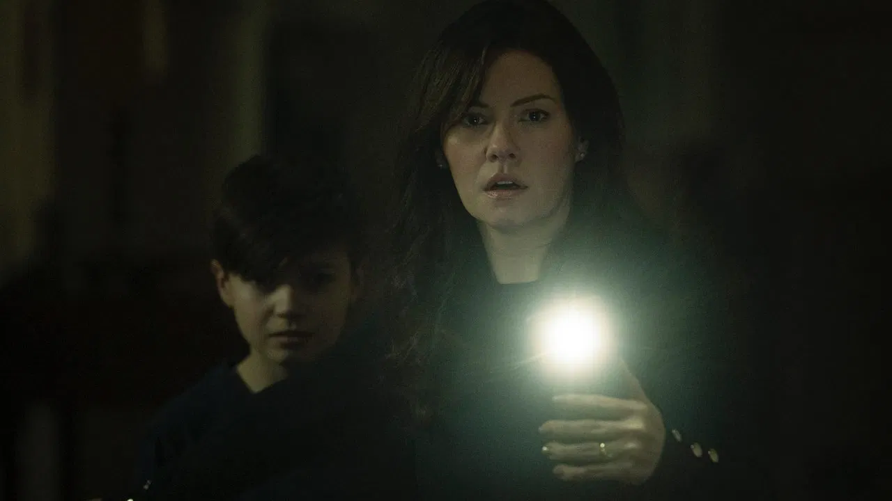 The Cellar [2022]