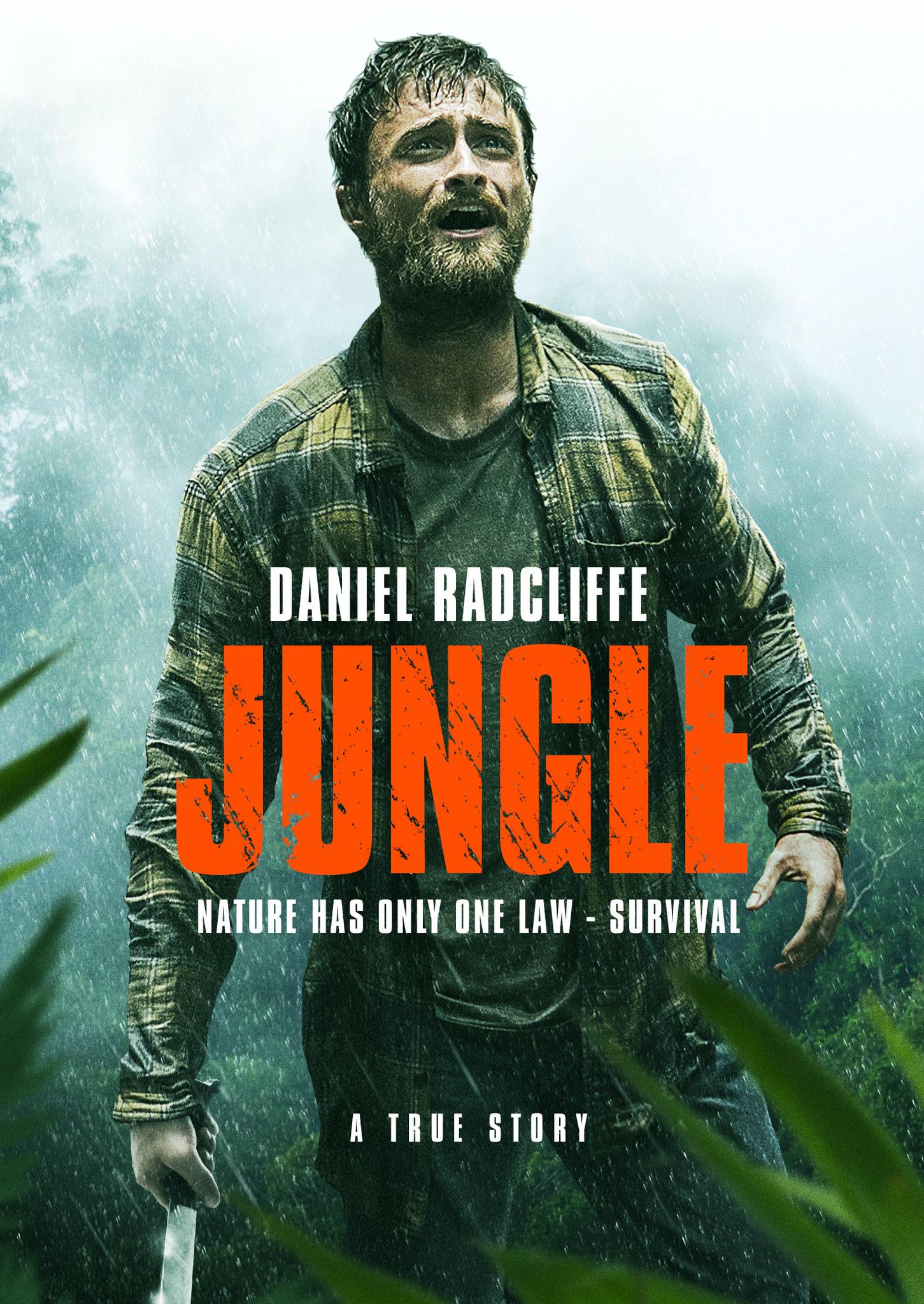 Jungle [2017] 