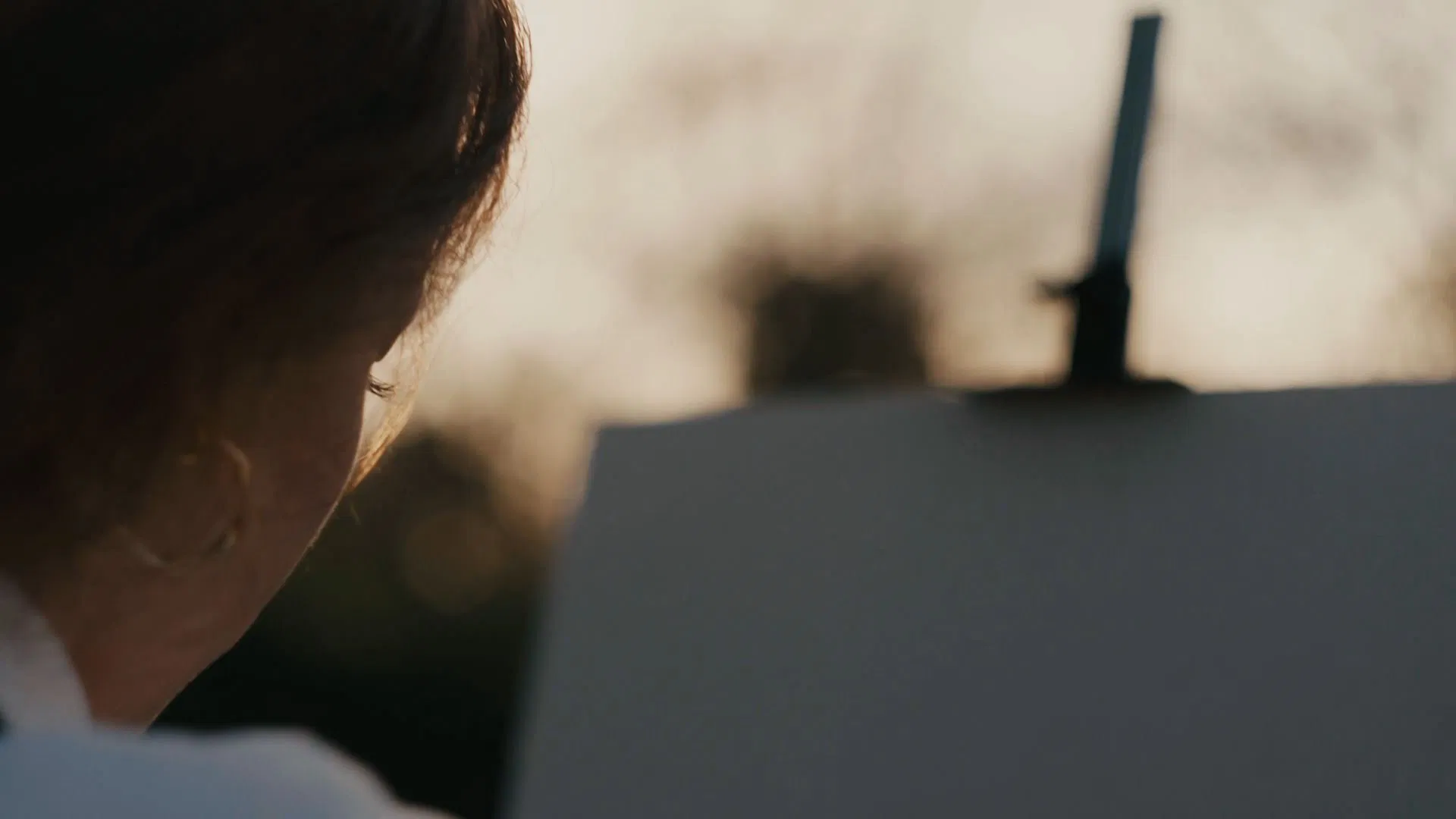 The Painter [2024]