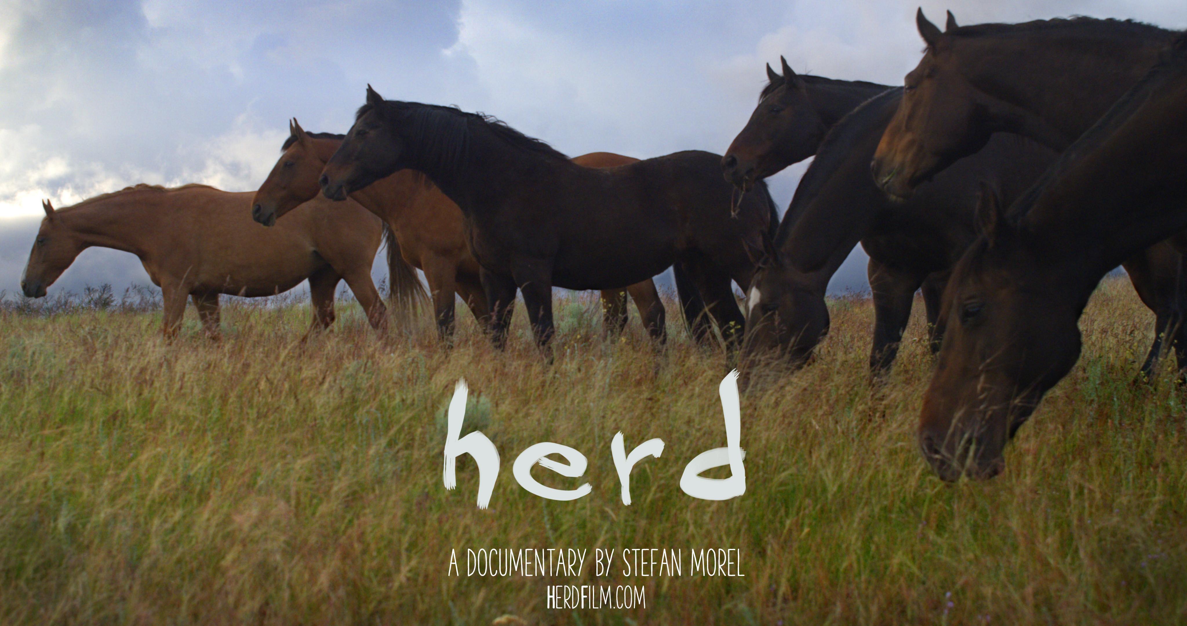 Herd [2016] 