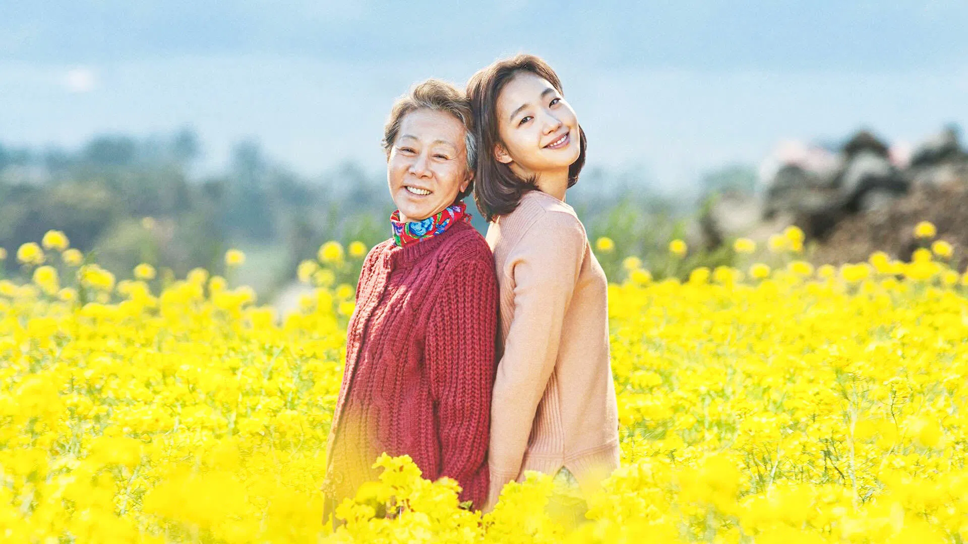 Canola [2016]