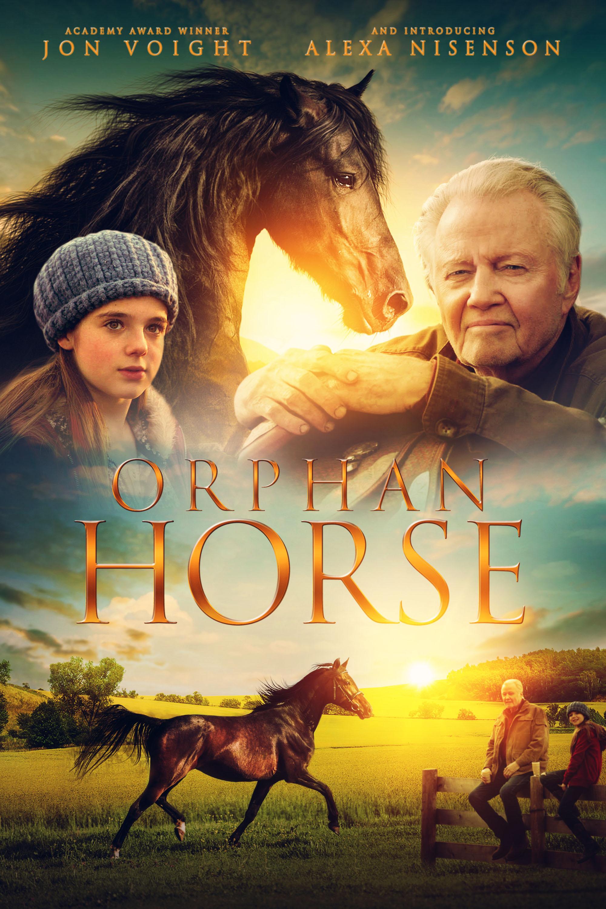 Orphan Horse [2018] 