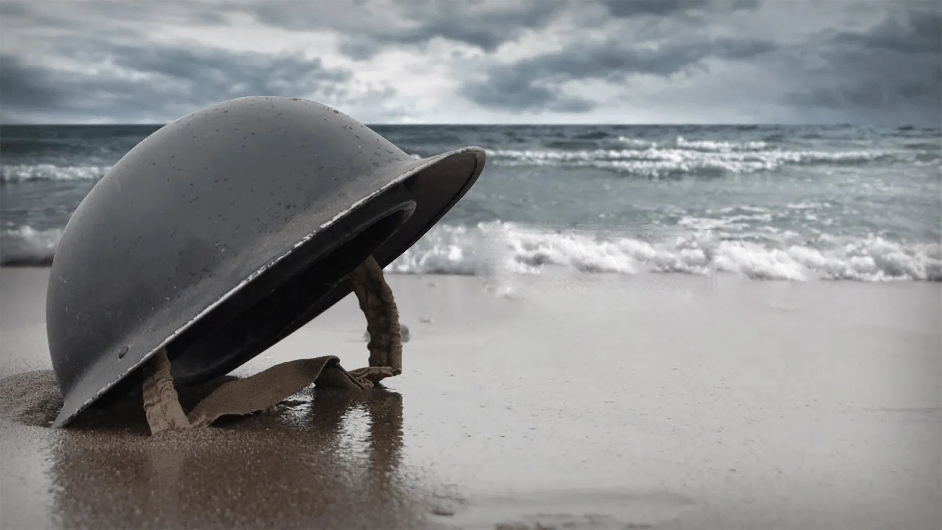 D-Day: 80th Anniversary [2024]