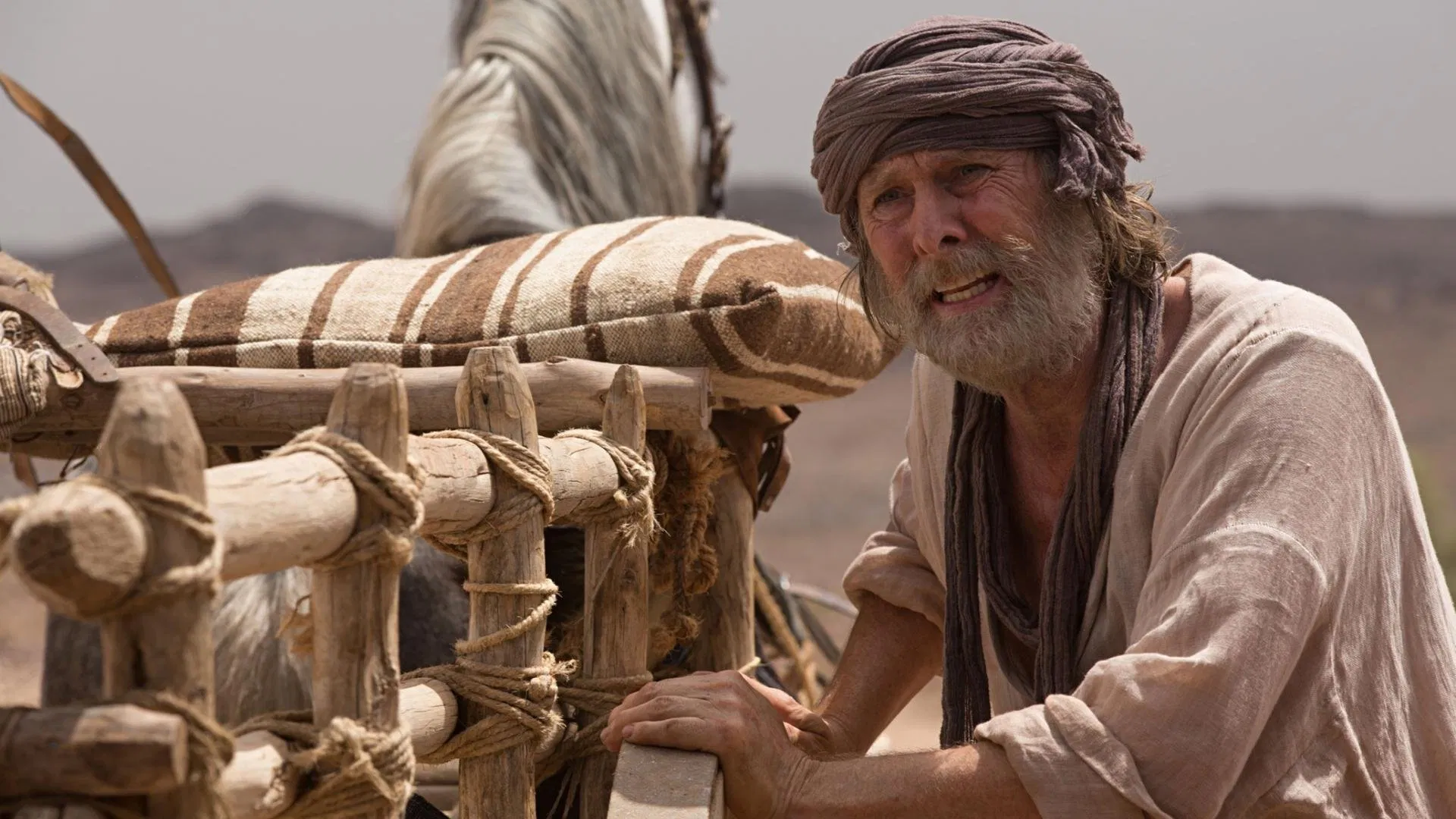 The Ark [2015]