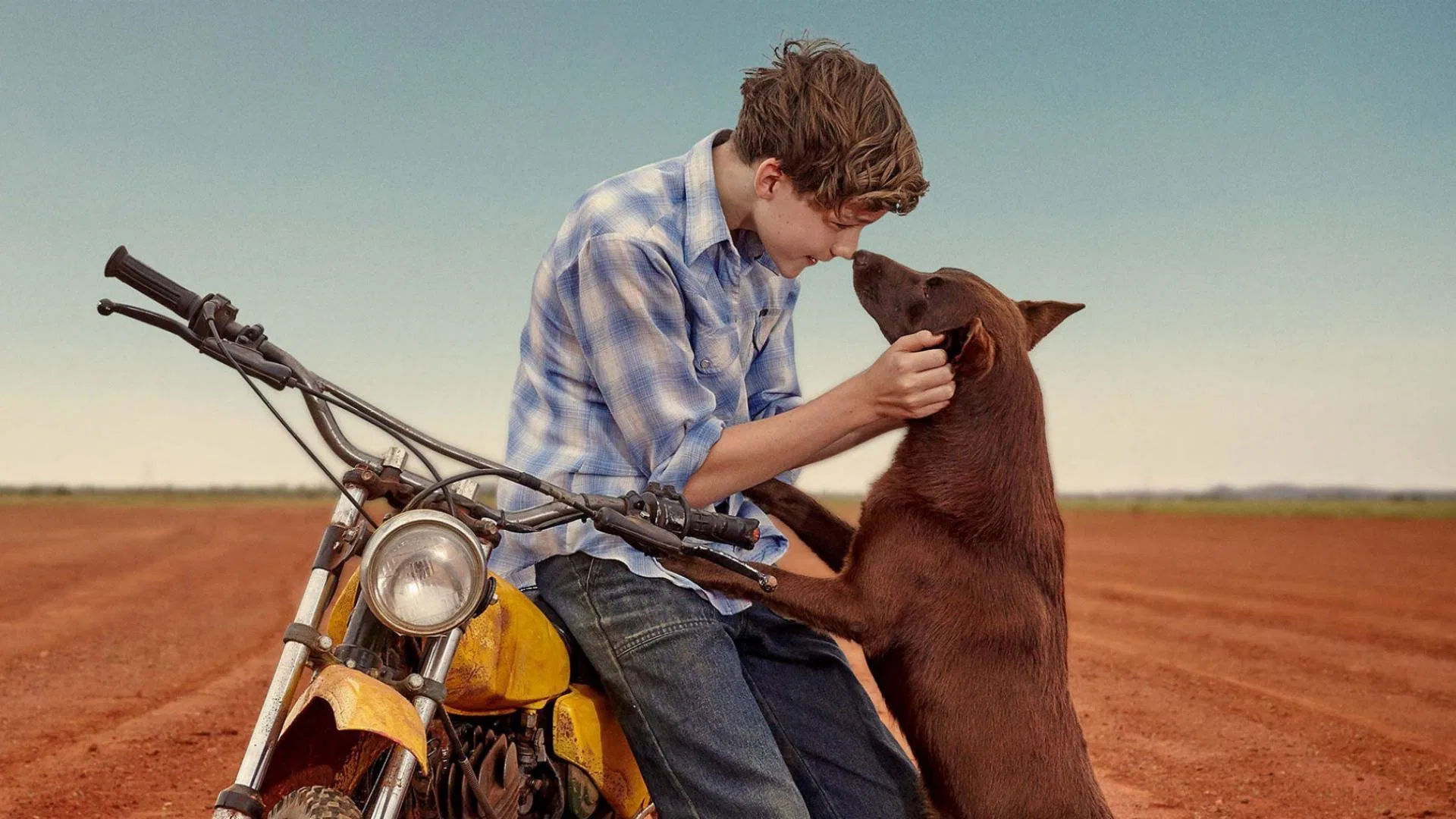 Red Dog: True Blue [2016]