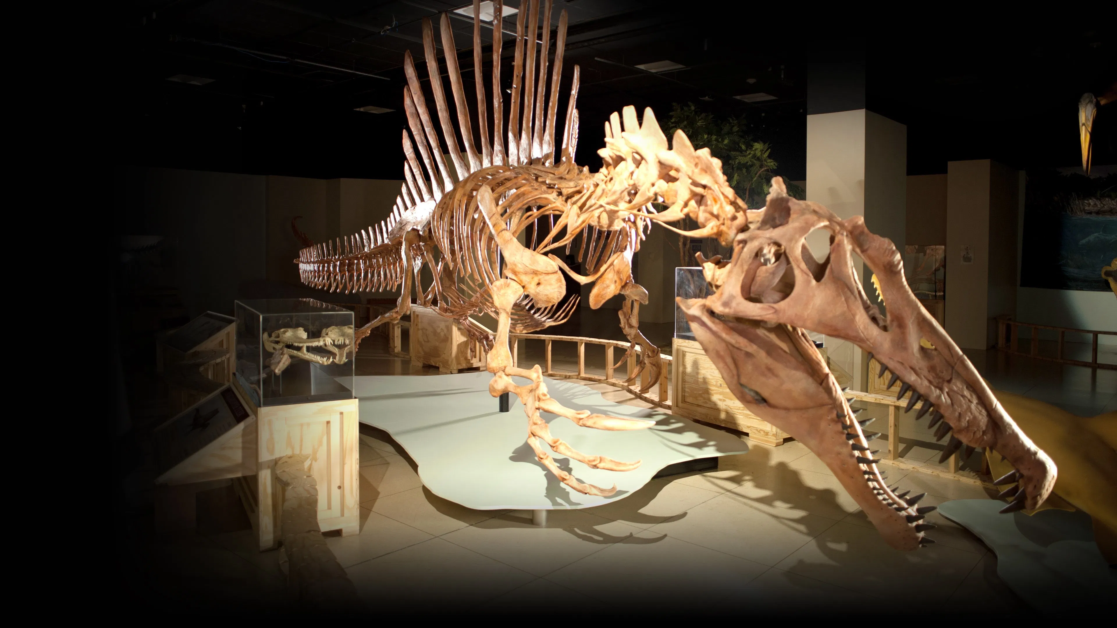 Top 10 Biggest Beasts Ever [2015]
