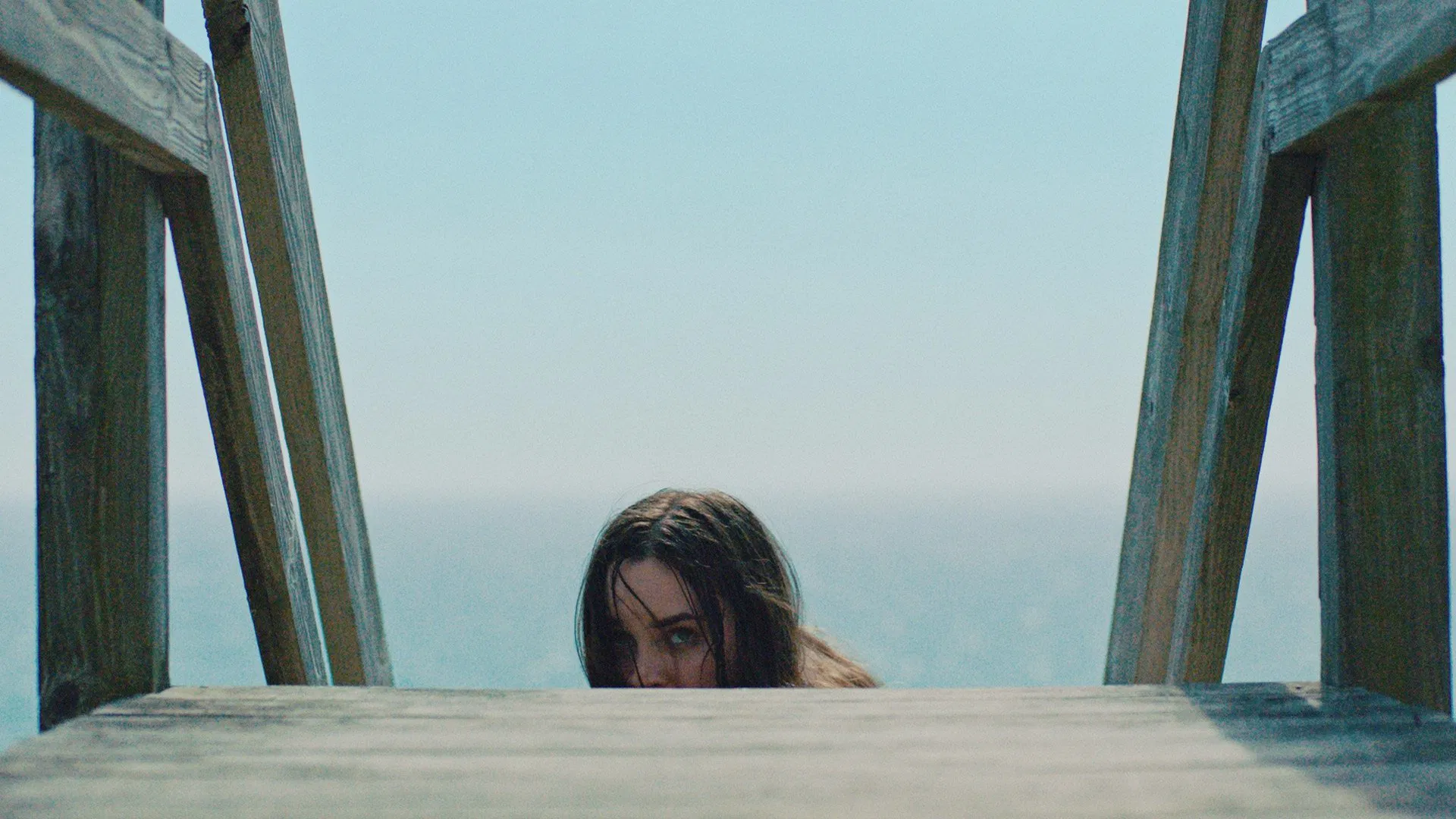 The Beach House [2020]