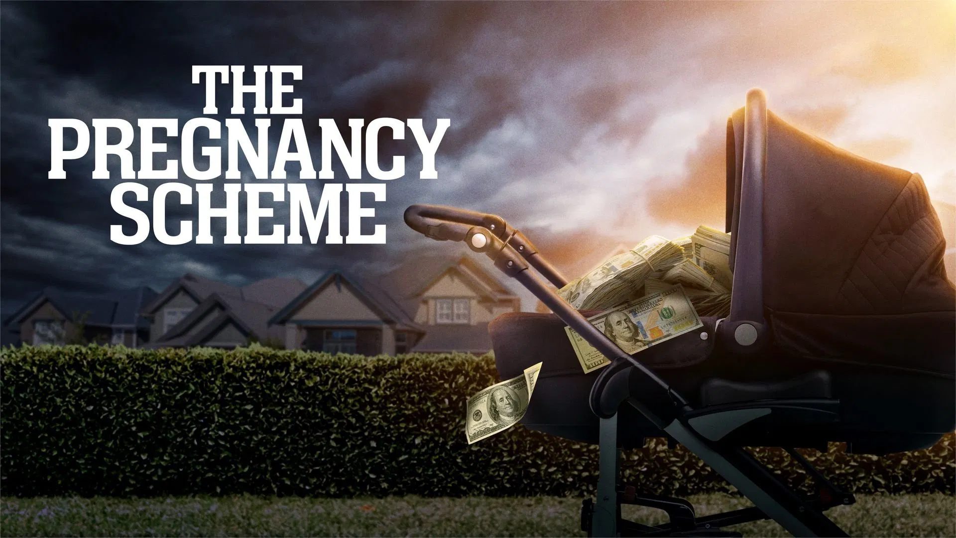 The Pregnancy Scheme [2023]