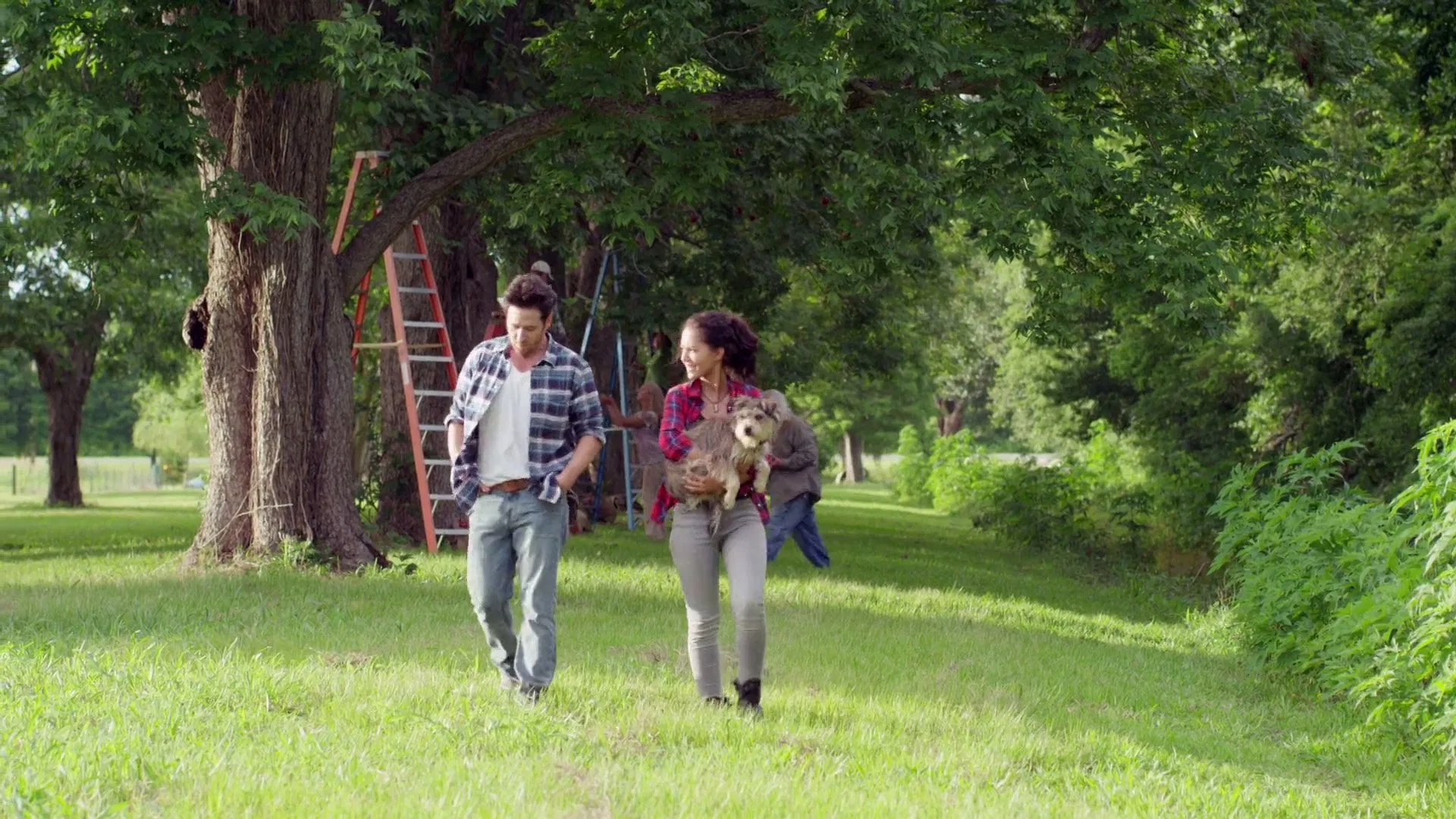 Night of the Wild [2015]